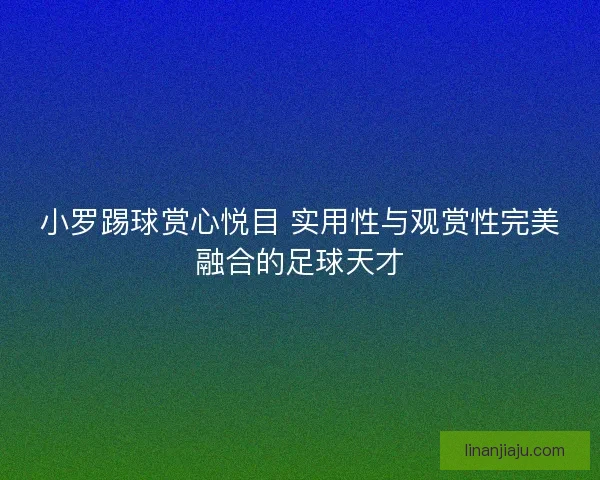 小罗踢球赏心悦目 实用性与观赏性完美融合的足球天才
