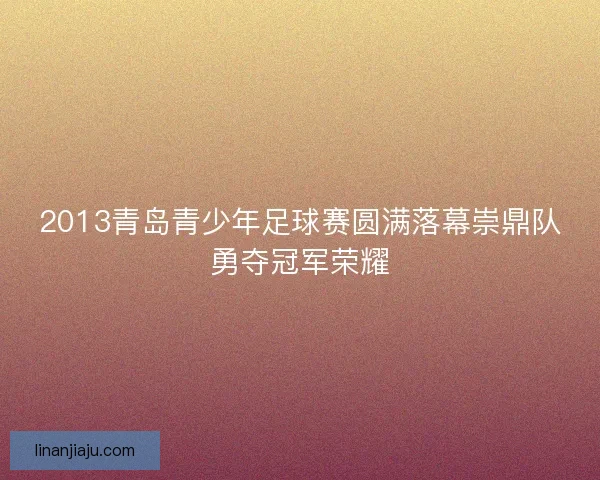 2013青岛青少年足球赛圆满落幕崇鼎队勇夺冠军荣耀