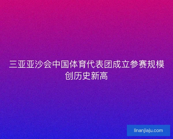 三亚亚沙会中国体育代表团成立参赛规模创历史新高